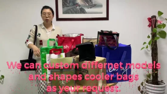 Paquet de 6 sacs isothermes isolés thermiques personnalisés non tissés Fabrication en gros en Chine